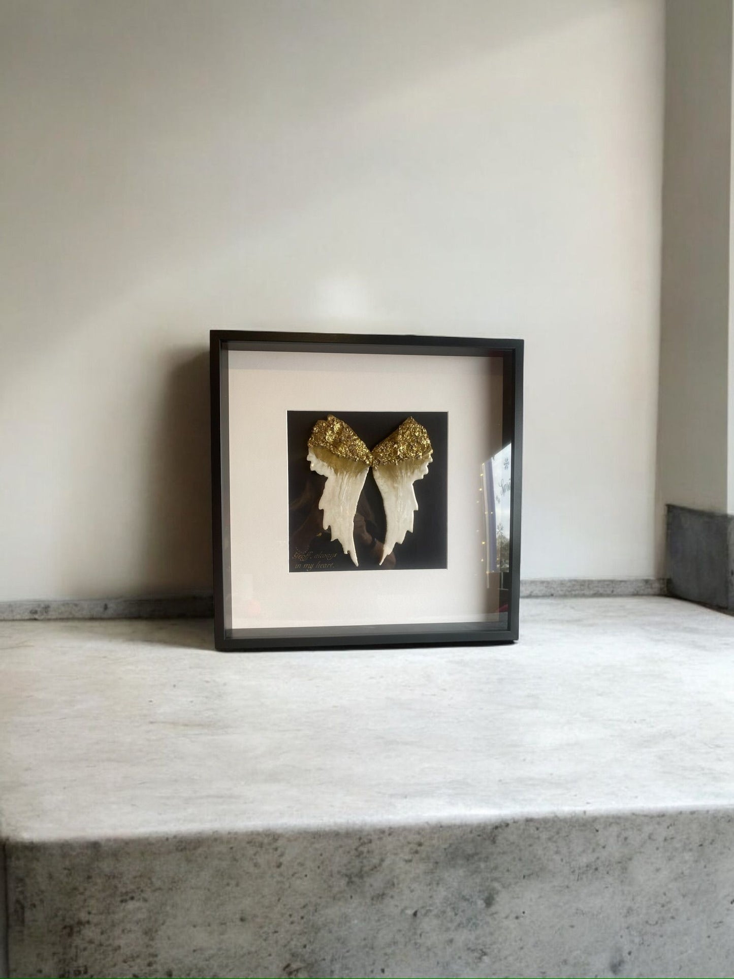 Framed Angel Wings with Ashes